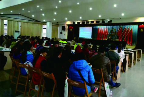 名木古樹保護,搶救復壯,遷移,古樹資源普查